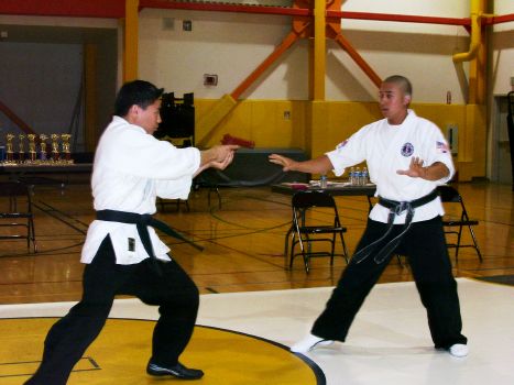 Hapkido empty hand gun disarms